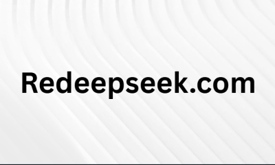 Redeepseek.com