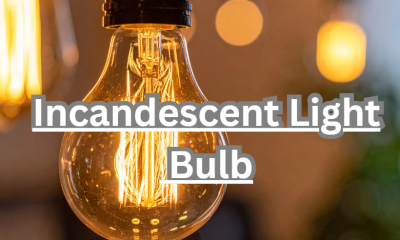 Incandescent Light Bulb