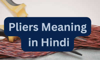 Pliers Meaning in Hindi